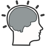 Brain activity – Métacognition